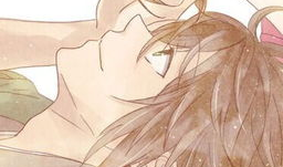 情侣动漫画,情侣动漫画中的浪漫时光