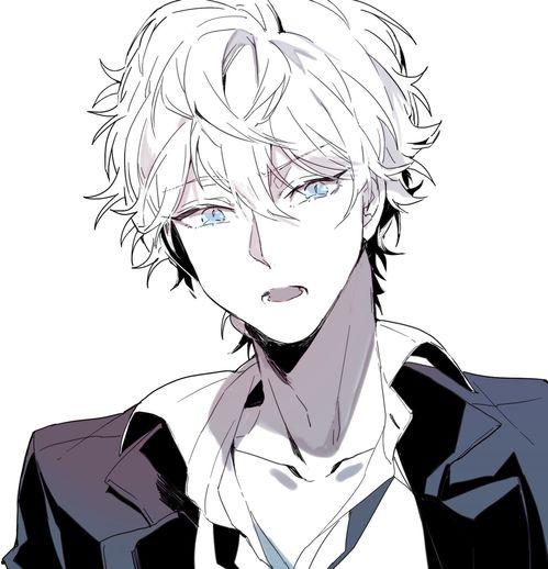 男 动漫,男性角色的激情冒险之旅