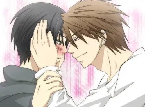 腐女动漫,探寻二次元世界的甜蜜恋情