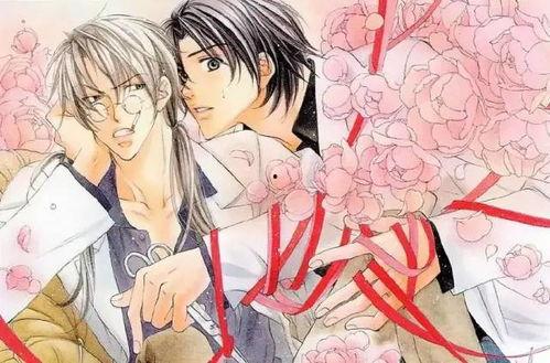 腐女动漫,探寻二次元世界的甜蜜恋情