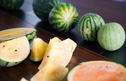 浙江娱乐吃瓜君,揭秘娱乐圈最新热点事件