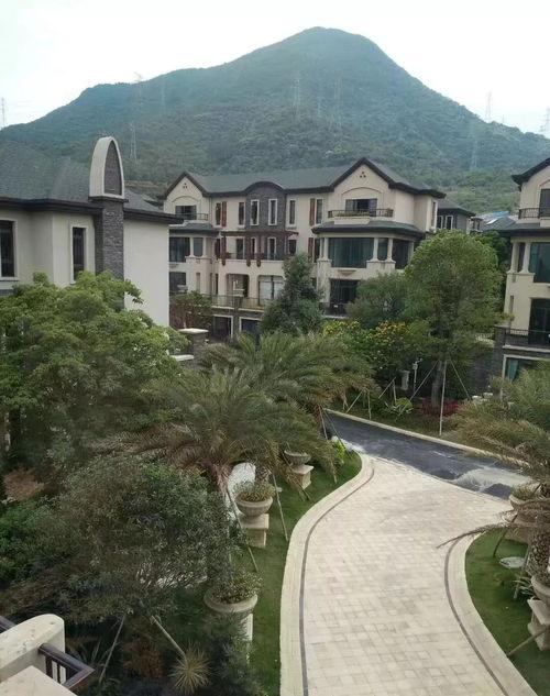 718娱乐吃瓜新地址,吃瓜群众的新聚集地